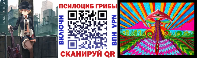 купить наркоту  Каменск-Шахтинский  Псилоцибиновые грибы Cubensis 
